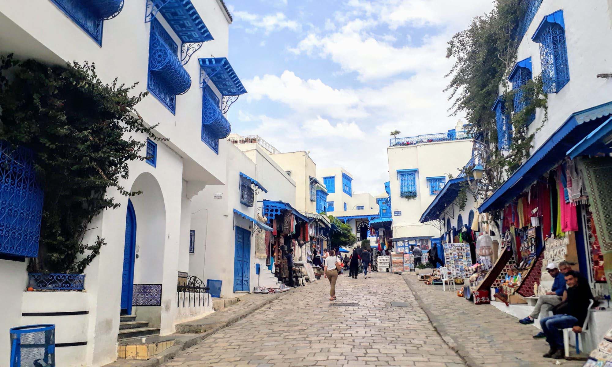 Tunis, Carthage, Bardo Museum & Sidi Bou Said Tour