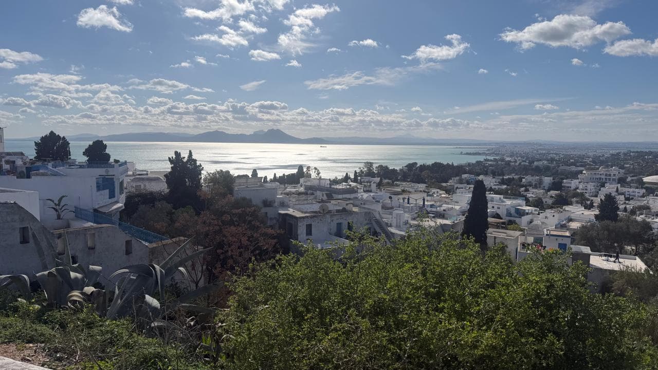 Tunis, Carthage, Bardo Museum & Sidi Bou Said Tour photo 8