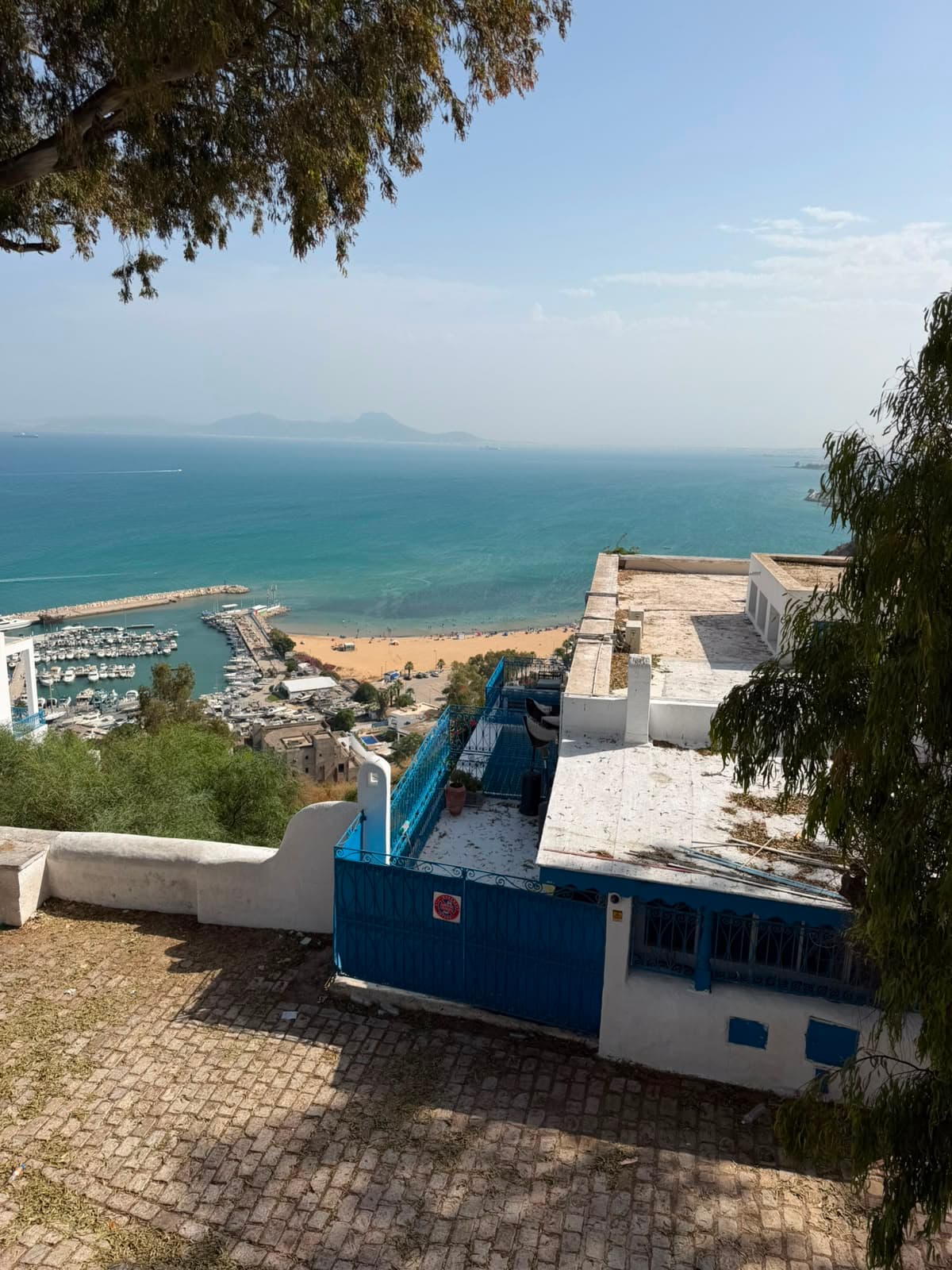 Tunis, Carthage, Bardo Museum & Sidi Bou Said Tour photo 15